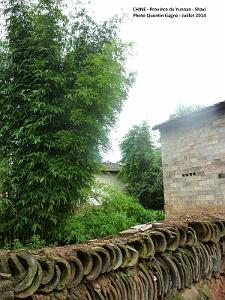 146 - Shaxi